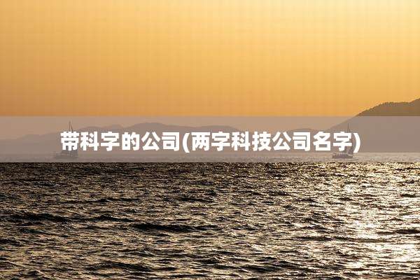 带科字的公司(两字科技公司名字)