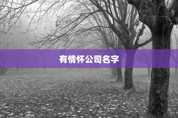 有情怀公司名字