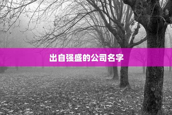 出自强盛的公司名字