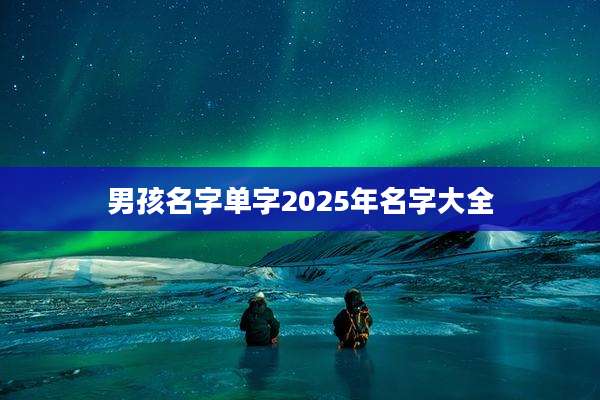 男孩名字单字2025年名字大全