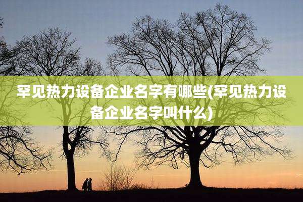 罕见热力设备企业名字有哪些(罕见热力设备企业名字叫什么)