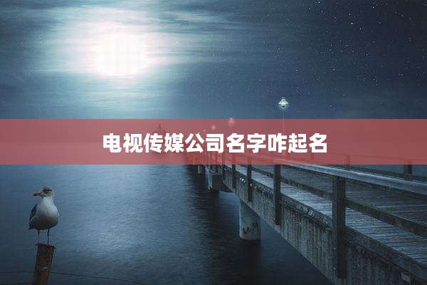 电视传媒公司名字咋起名