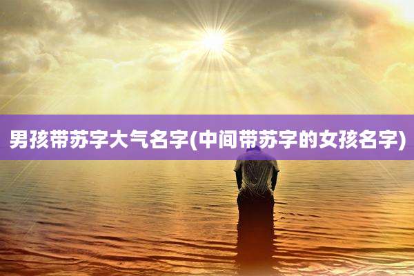 男孩带苏字大气名字(中间带苏字的女孩名字)