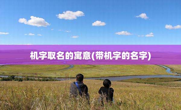 机字取名的寓意(带机字的名字)