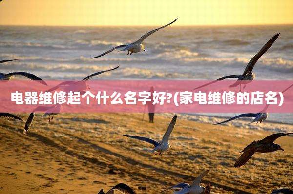 电器维修起个什么名字好?(家电维修的店名)