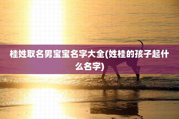 桂姓取名男宝宝名字大全(姓桂的孩子起什么名字)