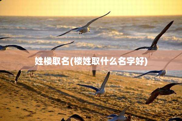 姓楼取名(楼姓取什么名字好)