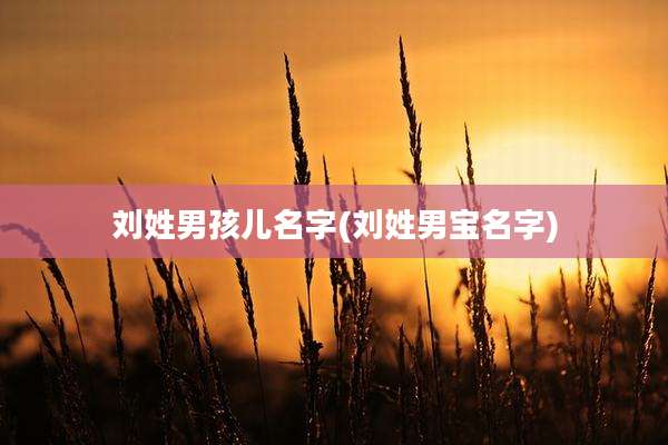 刘姓男孩儿名字(刘姓男宝名字)