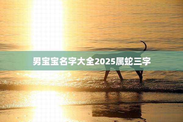 男宝宝名字大全2025属蛇三字