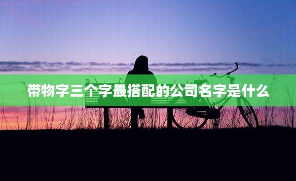 带物字三个字最搭配的公司名字是什么