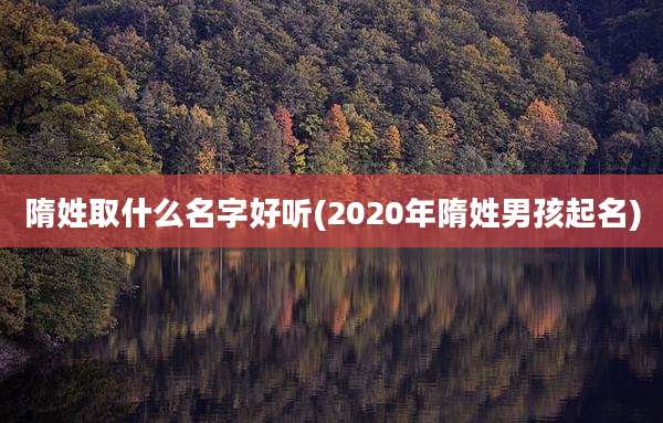 隋姓取什么名字好听(2020年隋姓男孩起名)