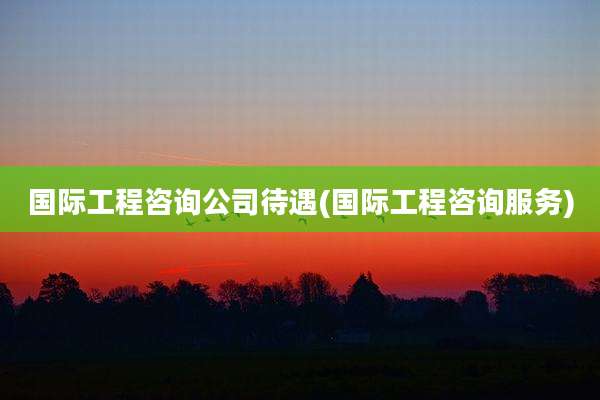 国际工程咨询公司待遇(国际工程咨询服务)