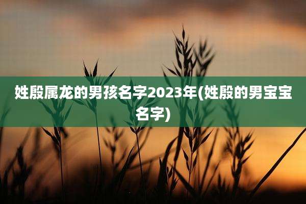 姓殷属龙的男孩名字2023年(姓殷的男宝宝名字)