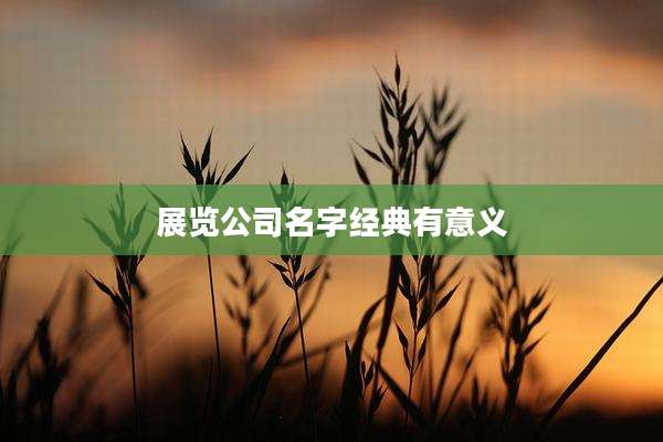 展览公司名字经典有意义