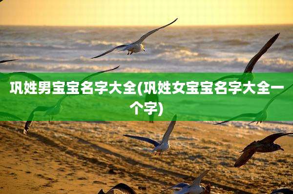 巩姓男宝宝名字大全(巩姓女宝宝名字大全一个字)