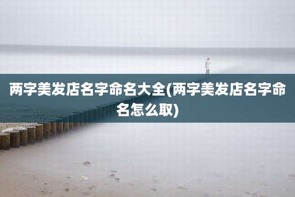 两字美发店名字命名大全(两字美发店名字命名怎么取)