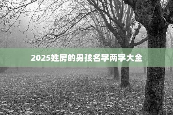 2025姓房的男孩名字两字大全