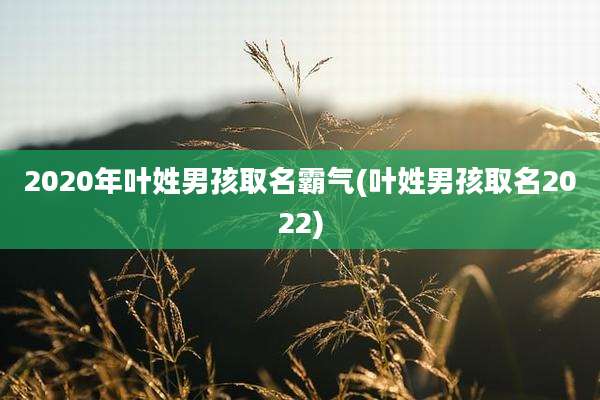 2020年叶姓男孩取名霸气(叶姓男孩取名2022)