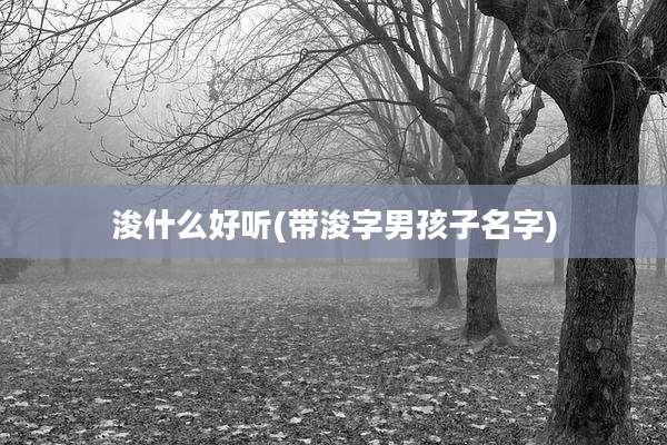 浚什么好听(带浚字男孩子名字)