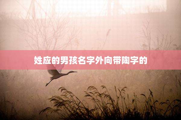 姓应的男孩名字外向带陶字的