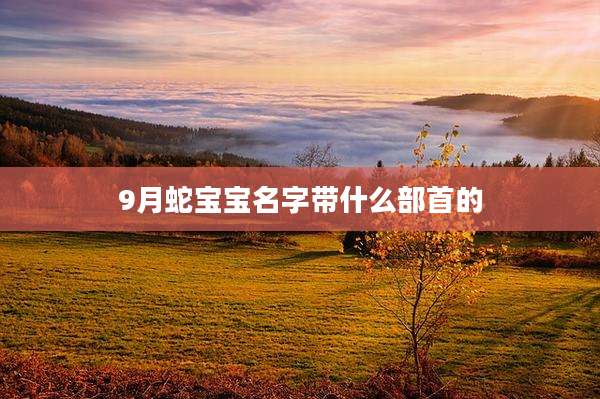 9月蛇宝宝名字带什么部首的