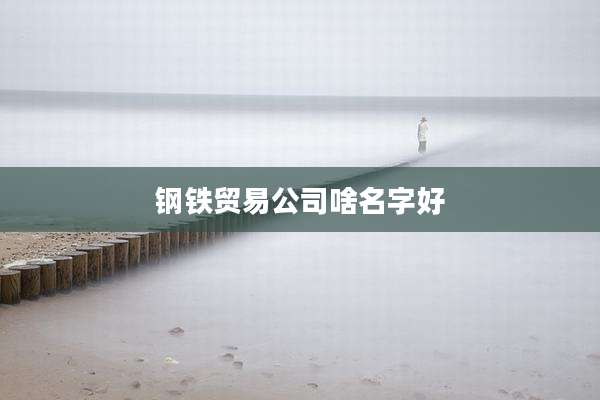 钢铁贸易公司啥名字好