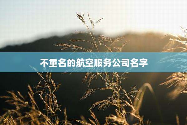 不重名的航空服务公司名字