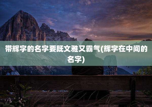 带辉字的名字要既文雅又霸气(辉字在中间的名字)