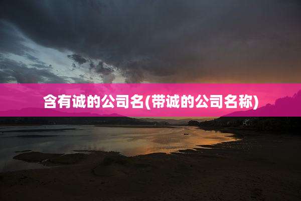 含有诚的公司名(带诚的公司名称)
