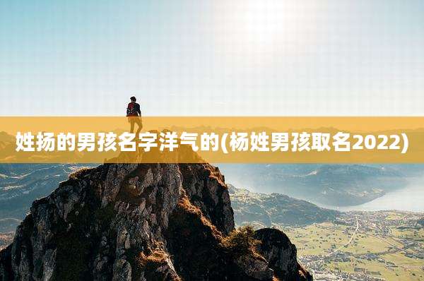 姓扬的男孩名字洋气的(杨姓男孩取名2022)