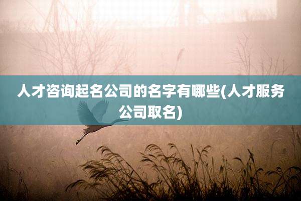 人才咨询起名公司的名字有哪些(人才服务公司取名)