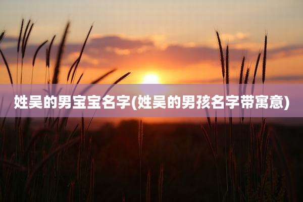 姓吴的男宝宝名字(姓吴的男孩名字带寓意)