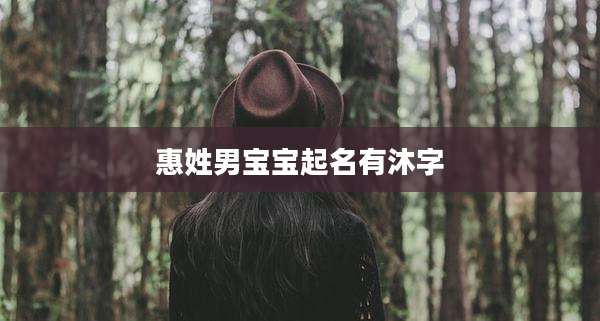 惠姓男宝宝起名有沐字