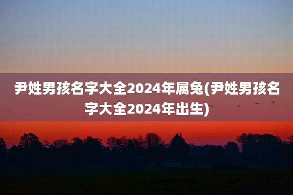 尹姓男孩名字大全2024年属兔(尹姓男孩名字大全2024年出生)
