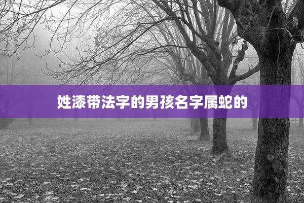姓漆带法字的男孩名字属蛇的