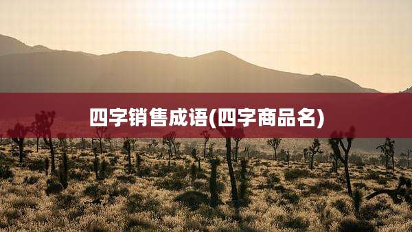 四字销售成语(四字商品名)