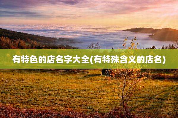 有特色的店名字大全(有特殊含义的店名)