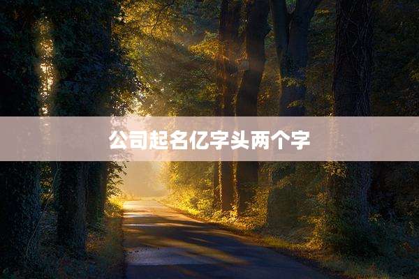 公司起名亿字头两个字