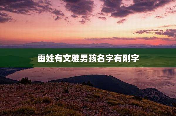 雷姓有文雅男孩名字有刚字