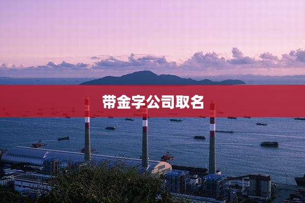 带金字公司取名