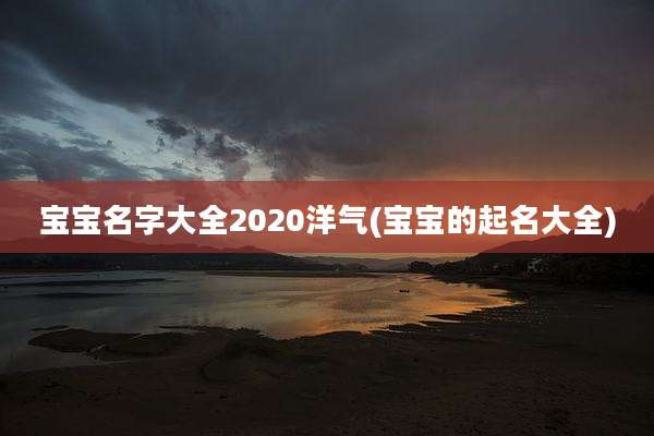 宝宝名字大全2020洋气(宝宝的起名大全)
