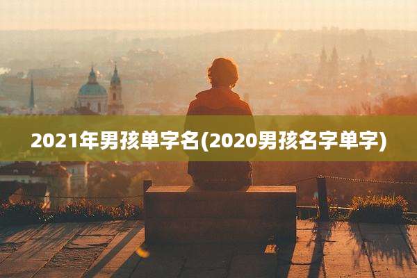 2021年男孩单字名(2020男孩名字单字)