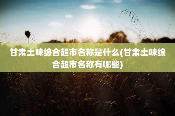 甘肃土味综合超市名称是什么(甘肃土味综合超市名称有哪些)
