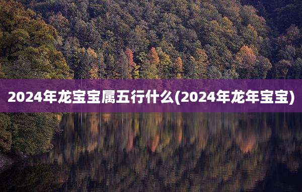 2024年龙宝宝属五行什么(2024年龙年宝宝)