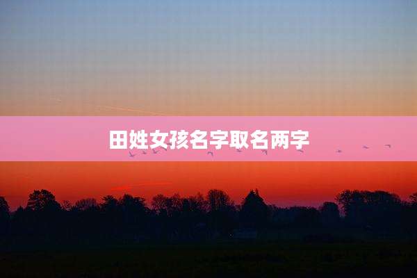 田姓女孩名字取名两字
