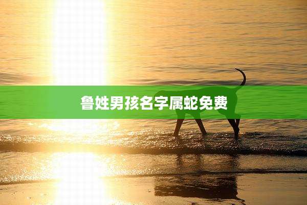 鲁姓男孩名字属蛇免费