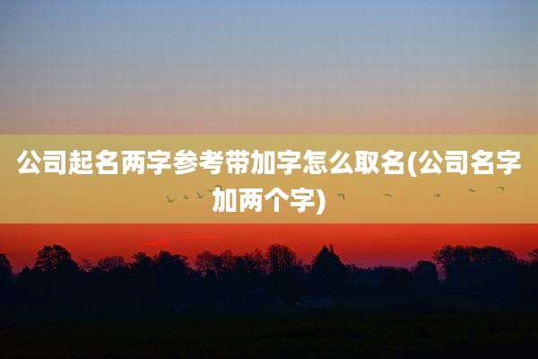 公司起名两字参考带加字怎么取名(公司名字加两个字)