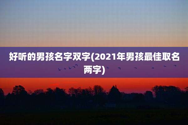 好听的男孩名字双字(2021年男孩最佳取名两字)