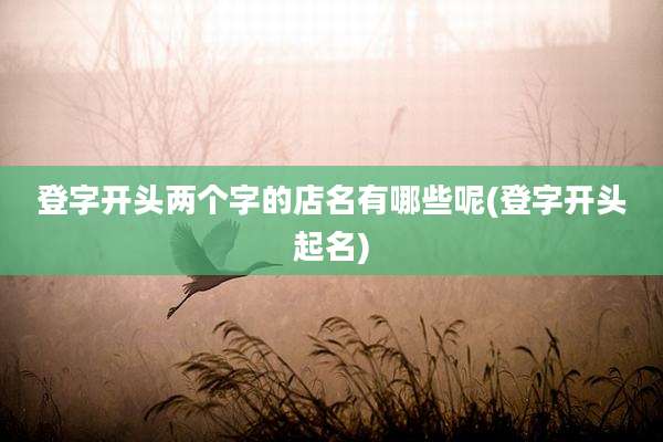 登字开头两个字的店名有哪些呢(登字开头起名)