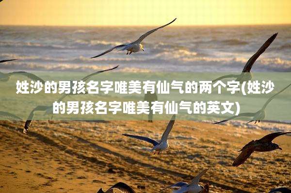 姓沙的男孩名字唯美有仙气的两个字(姓沙的男孩名字唯美有仙气的英文)
